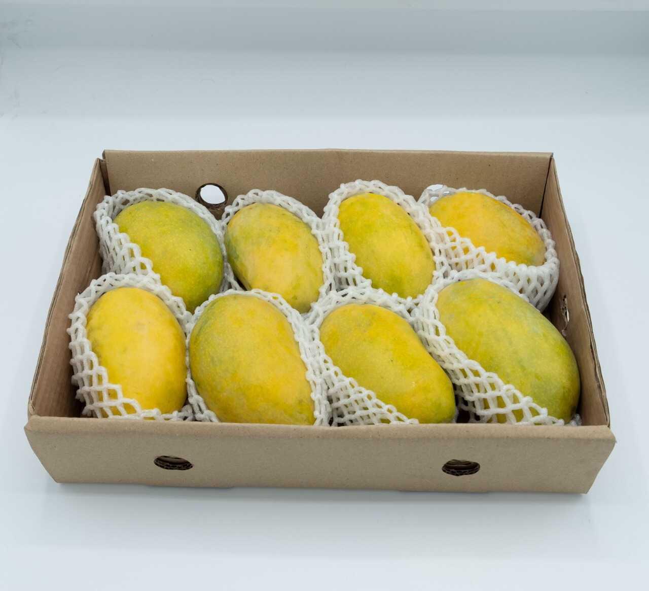 Sindhri Mangoes