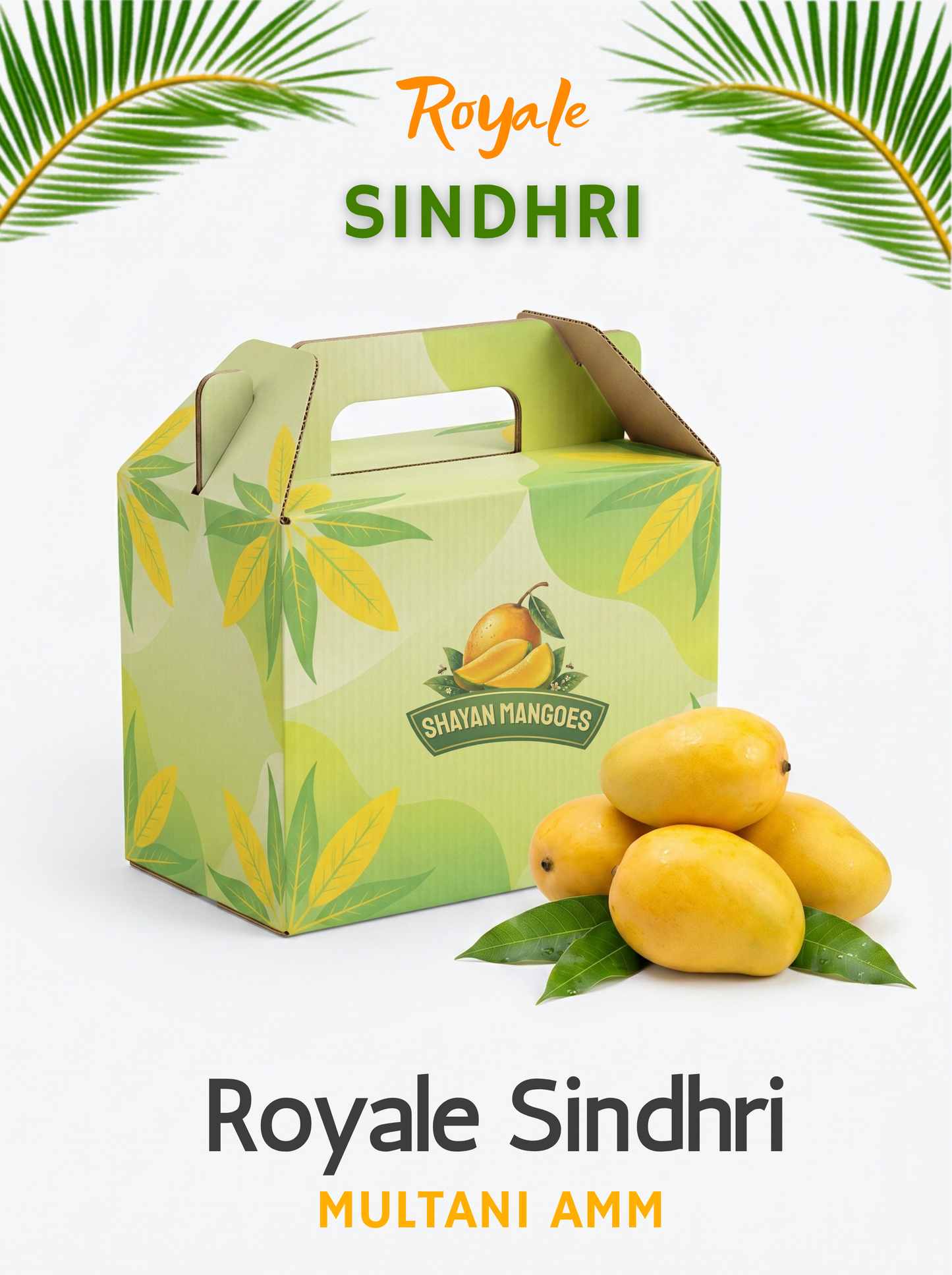Sindhri Mangoes