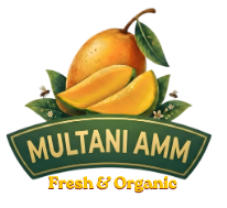 My Store