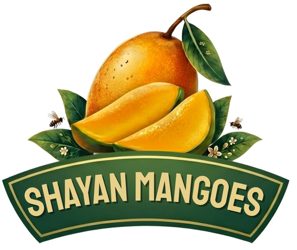 My Store