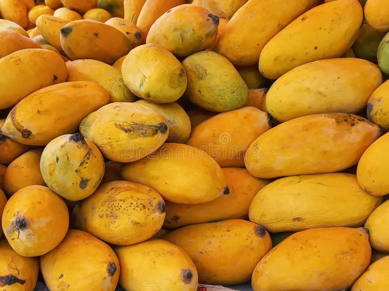 Sindhri Mangoes